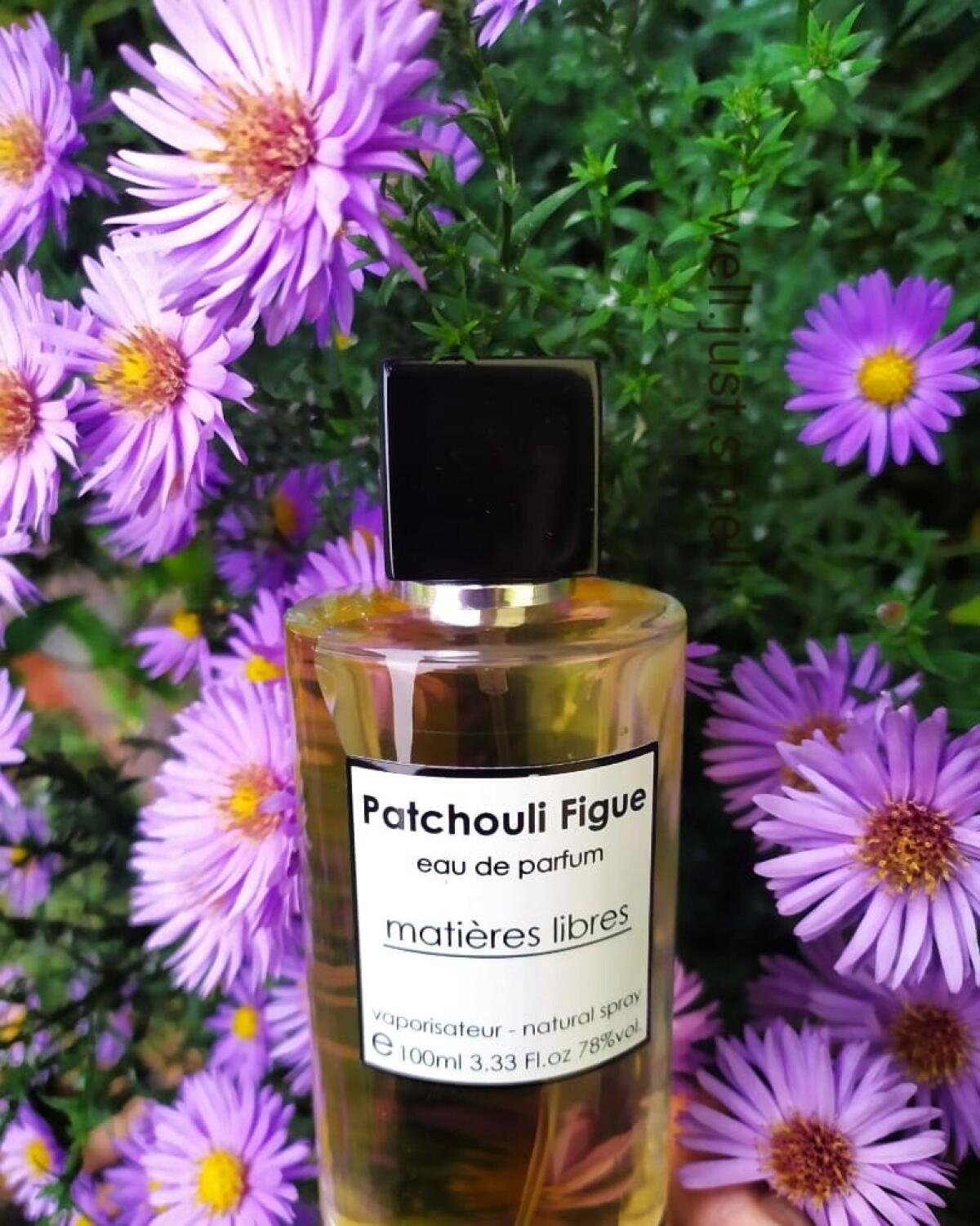 عطر ادکلن پاچولی فیگ پانوژ - Patchouli Figue Panouge - بررسی، قیمت و خرید