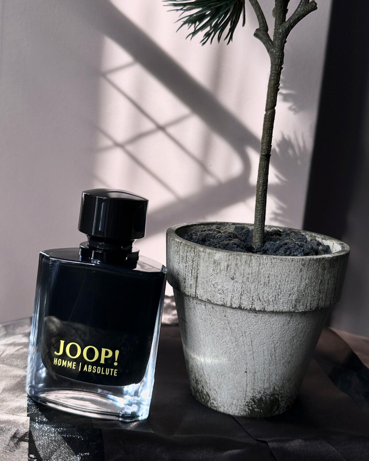 عطر ادکلن جوپ عُم اَبسُلوت جوپ - JOOP! Homme Absolute Joop! - بررسی، قیمت و خرید