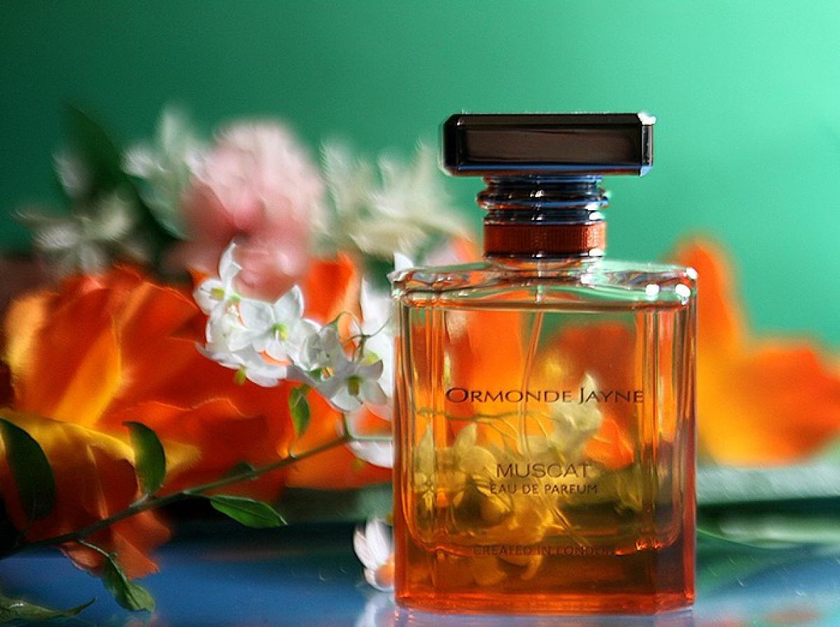 عطر ادکلن لِوانت اورموند جین - Levant Ormonde Jayne - بررسی، قیمت و خرید