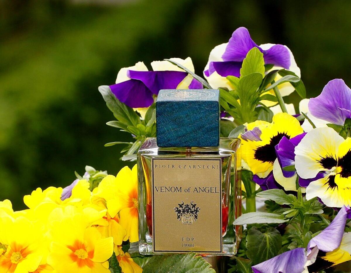 عطر ادکلن ونوم آف آنجل پیوتر چارنکی - Venom of Angel Piotr Czarnecki - بررسی، قیمت و خرید