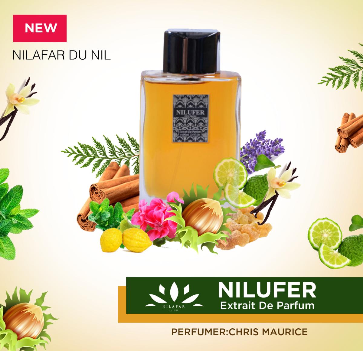 عطر ادکلن نیلوفر اکستریت د پرفیوم نیلفر دو نیل - NILUFER Extrait De Parfum Nilafar du Nil - بررسی، قیمت و خرید