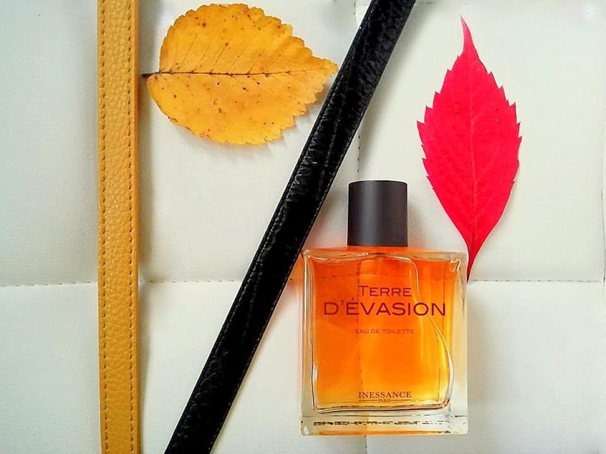 عطر ادکلن تر دوازون اینسنس - Terre d'Evasion Inessance - بررسی، قیمت و خرید