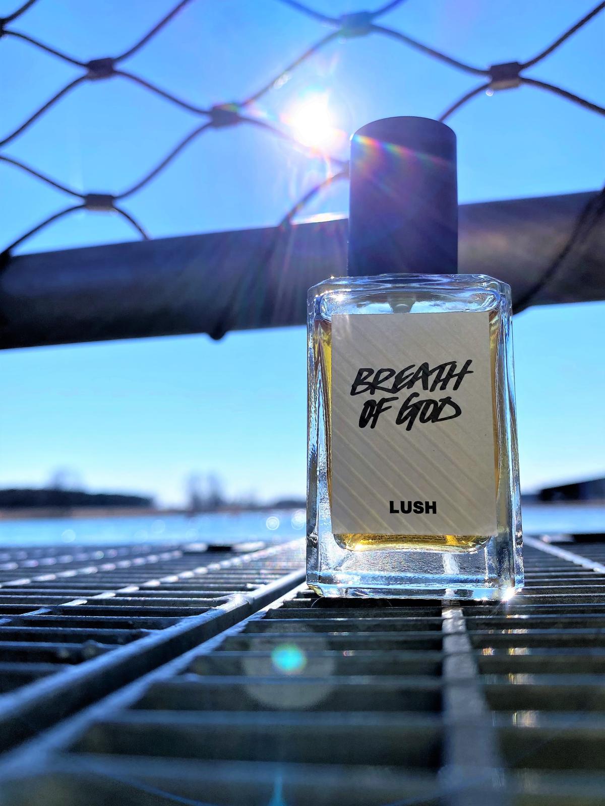 عطر ادکلن برس آف گاد لاش - Breath Of God Lush - بررسی، قیمت و خرید