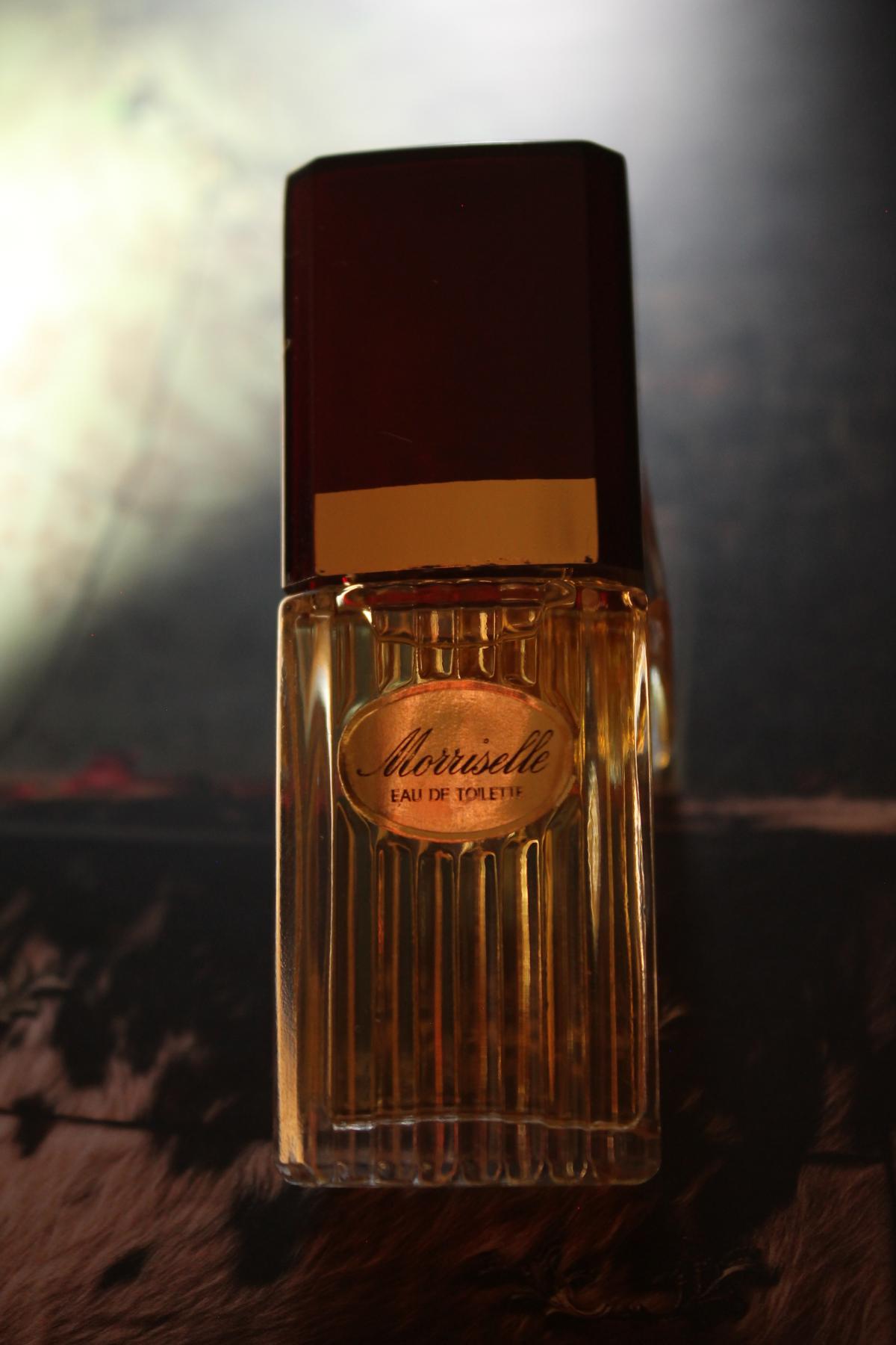 عطر ادکلن موریسل پور اِل موریس - Morriselle Pour Elle Morris - بررسی، قیمت و خرید