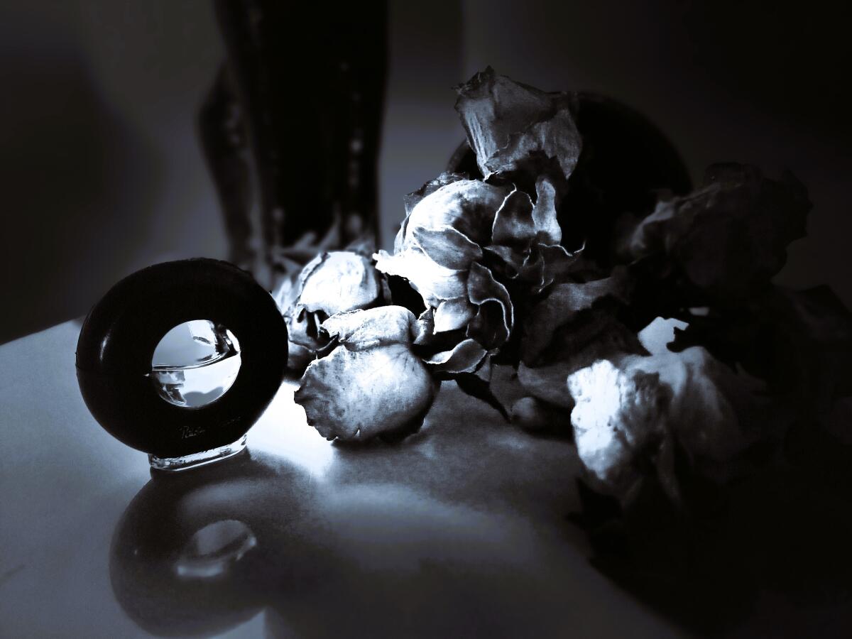 عطر ادکلن پالما پیکاسو پالما پیکاسو - Paloma Picasso Paloma Picasso - بررسی، قیمت و خرید